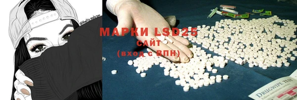 гашик Медвежьегорск