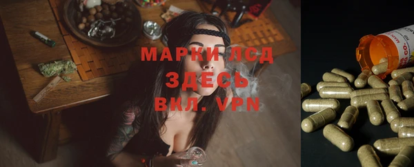 гашик Медвежьегорск